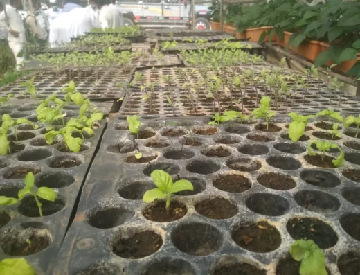 Abhinav Farmers Club – Organic Farm Visit