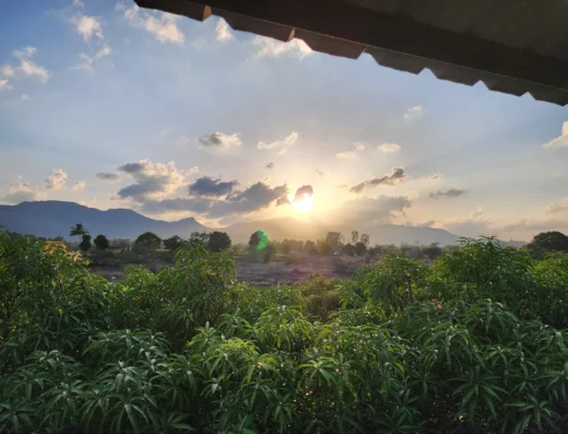Keshar Agro Tourism – Mango Farm & Rural Experience