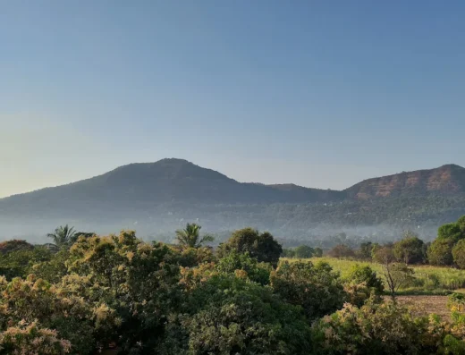 Keshar Agro Tourism – Mango Farm & Rural Experience