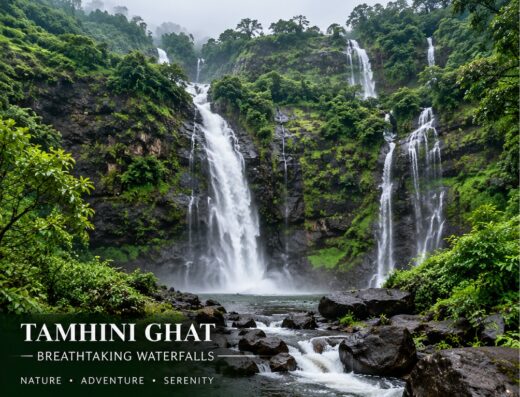 Tamhini Ghat – Western Ghats Nature Drive