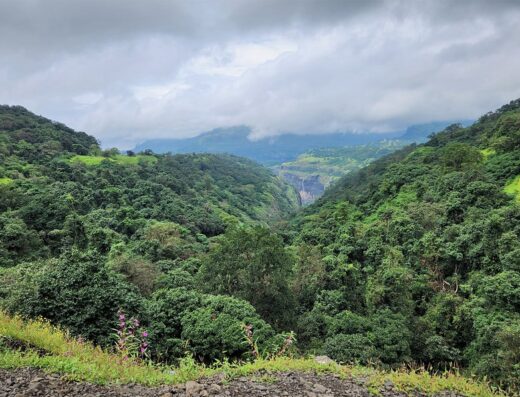 Tamini Hill Top – Western Ghats Viewpoint