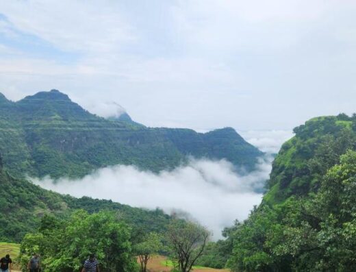 Tamini Hill Top – Western Ghats Viewpoint
