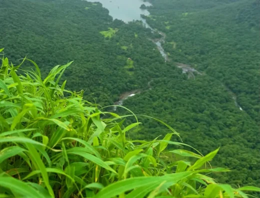 Savlya Ghat View Point – Tamhini Hidden View