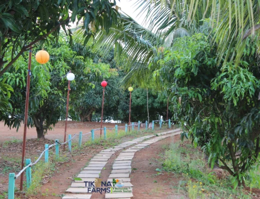 Tikona Farms – Lakeside Agro Tourism & Camping